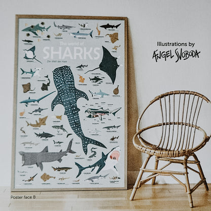 Poster géant stickers - Requins
