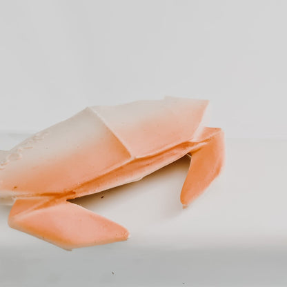 oli and carol origami crabe jouet de bain enfants